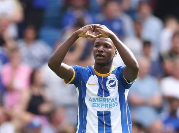 Moisés Caicedo - Tiền vệ phòng ngự trẻ của Chelsea