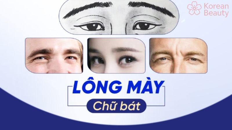 Tại sao ông mày chữ bát lại được nhiều người yêu thích