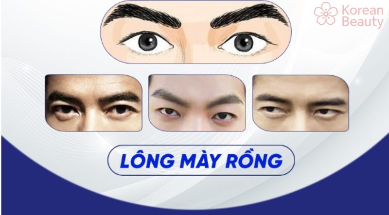 Tại sao lông mày rồng lại được nhiều người yêu thích?