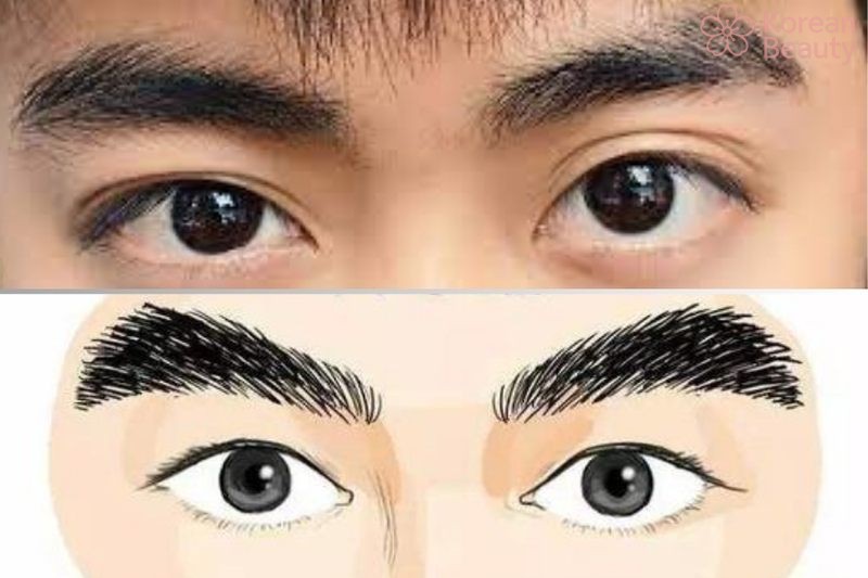 Vai trò quan trọng của tướng lông mày đàn ông trong nhân tướng học