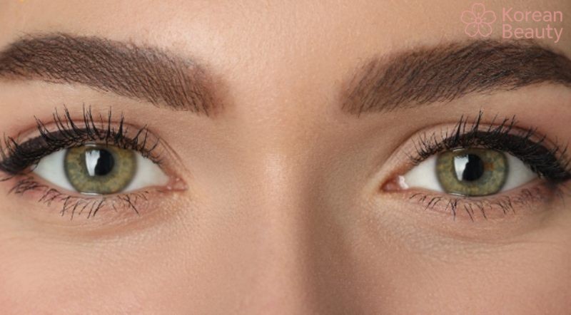 Cách thực hiện chăm sóc và duy trì lông mày rồng hiệu quả nhất